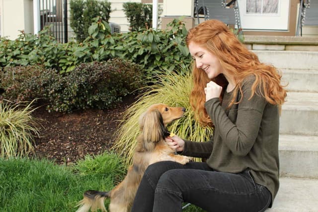 Child & Pet Friendly